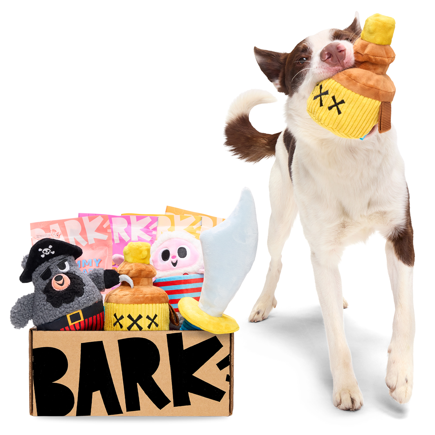 BARK Logo